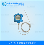 防爆型数字温度计